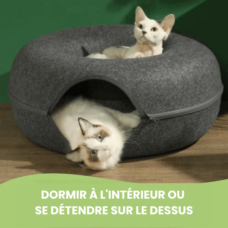Grotte à chat Cachou