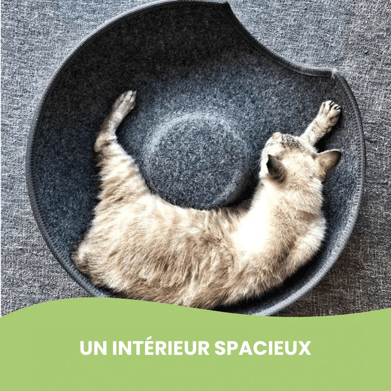 Grotte à chat Cachou