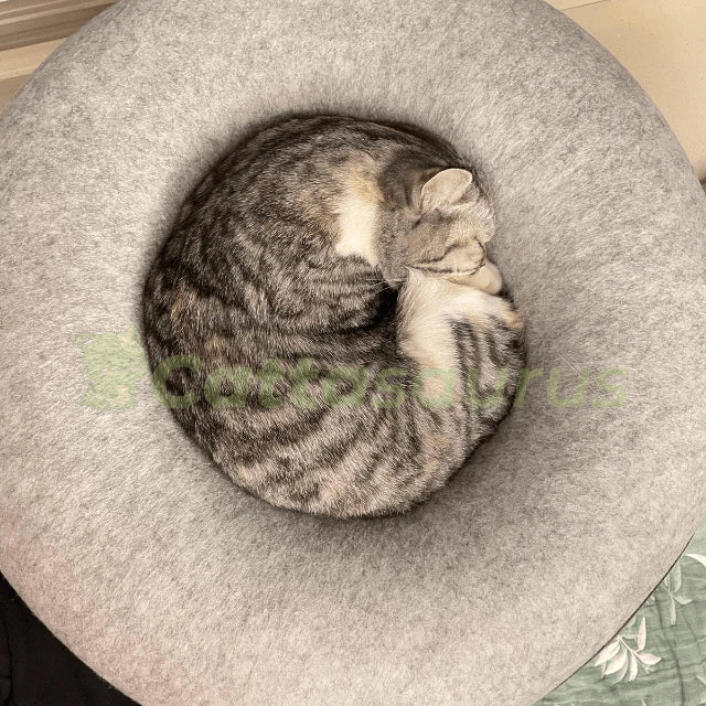 Grotte à chat Cachou