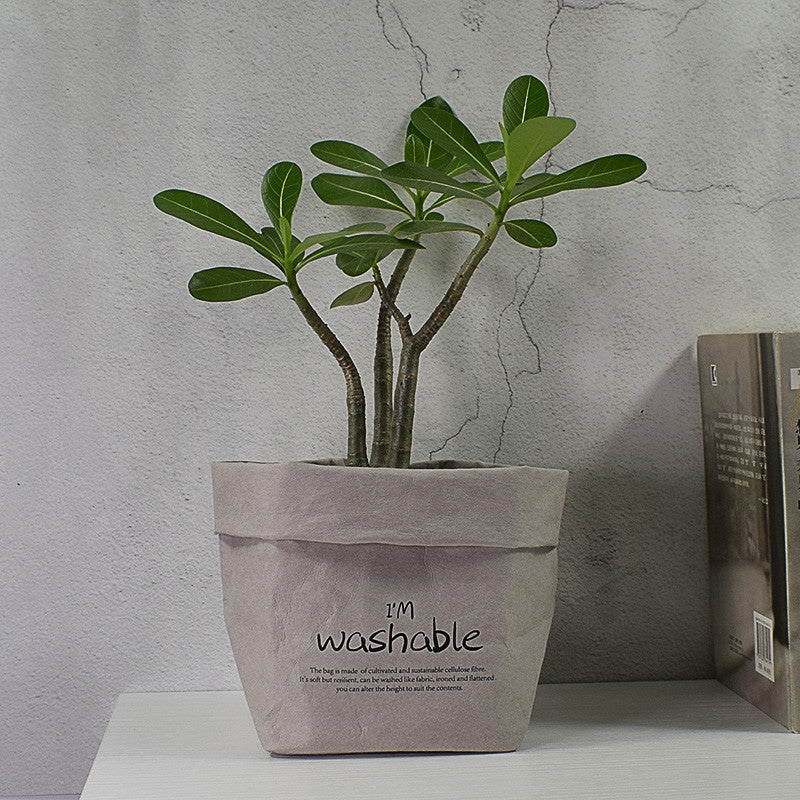 Pot de fleurs réutilisable en kraft | Bambou Calme