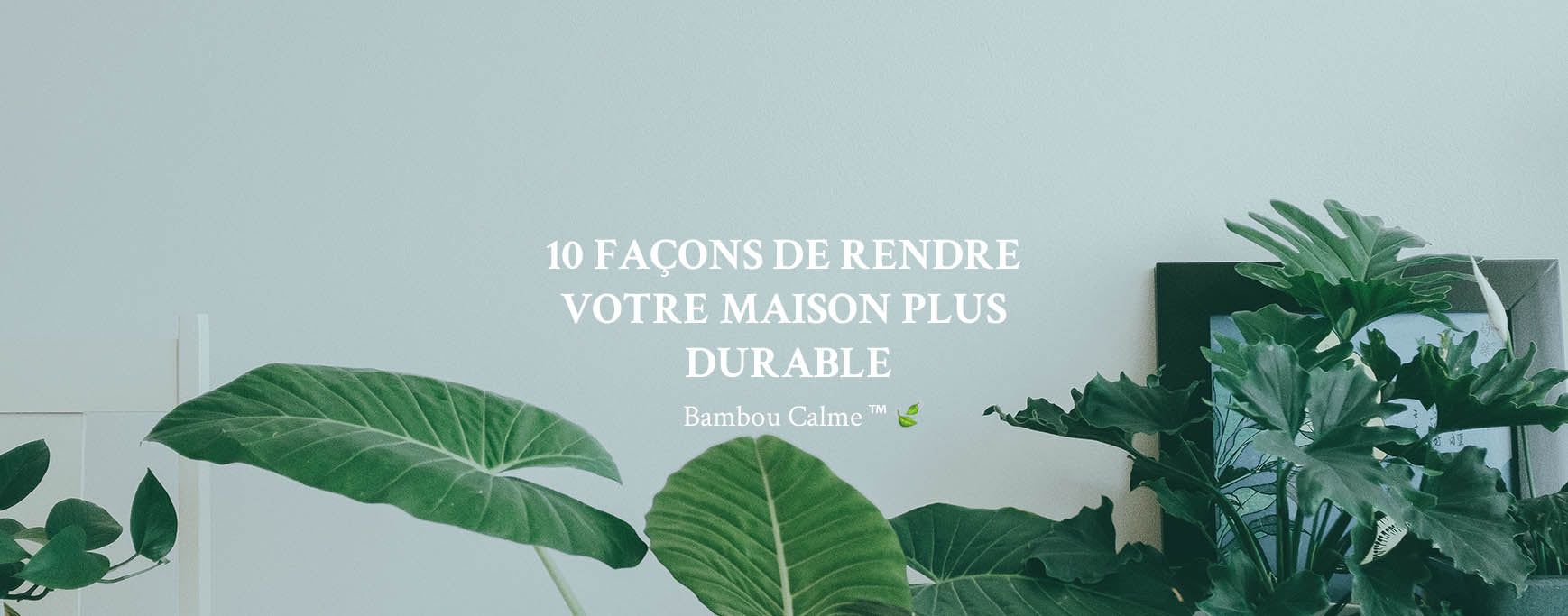 10 FAÇONS DE RENDRE VOTRE MAISON PLUS DURABLE