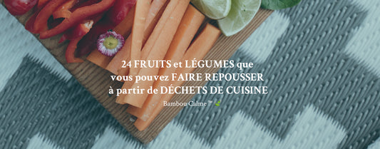 24 FRUITS et LÉGUMES que vous pouvez FAIRE REPOUSSER à partir de DÉCHETS DE CUISINE