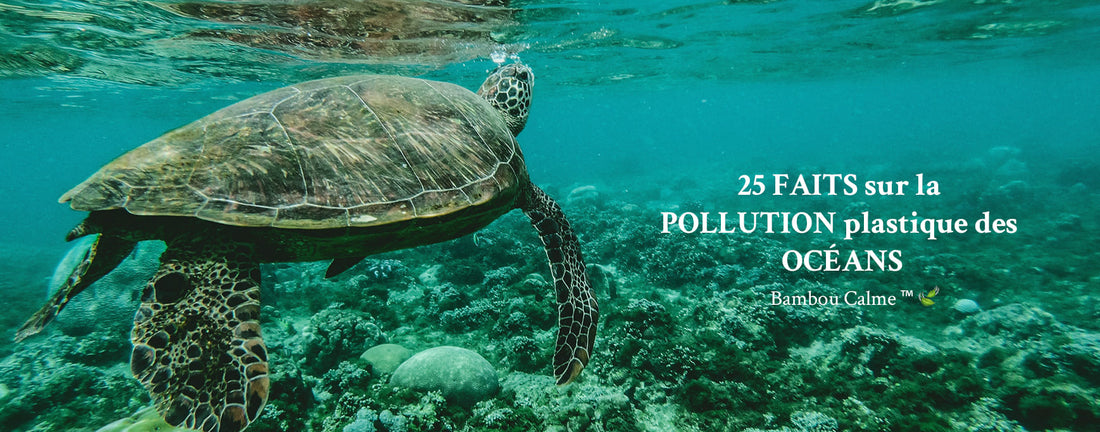 25 FAITS sur la POLLUTION plastique des OCÉANS