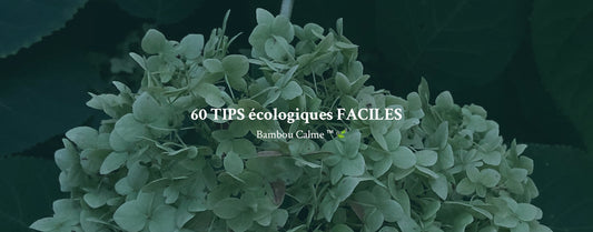 60 TIPS écologiques FACILES