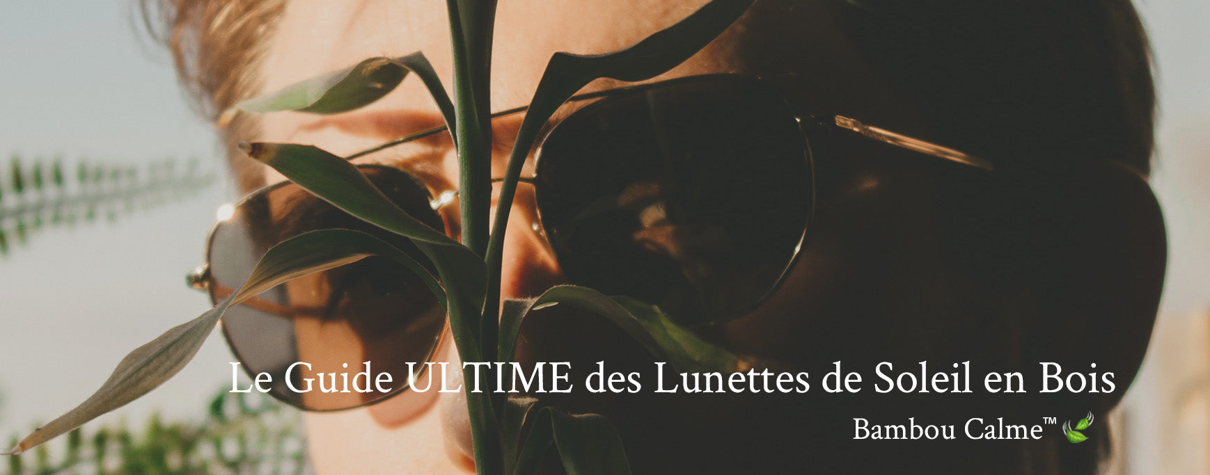 Le Guide ULTIME des Lunettes de Soleil en Bois