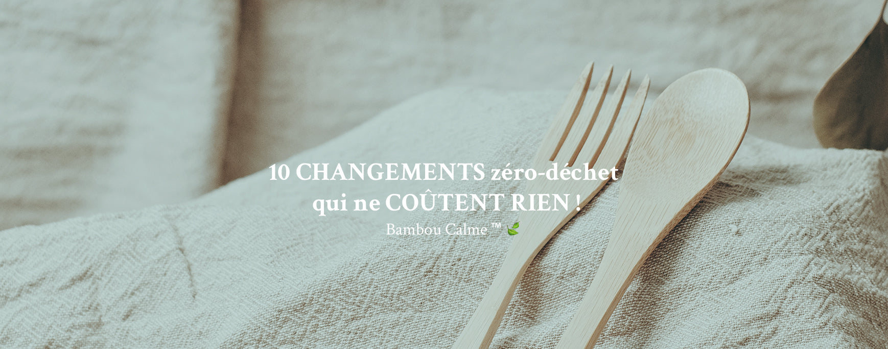 10 CHANGEMENTS zéro-déchet qui ne COÛTENT RIEN !