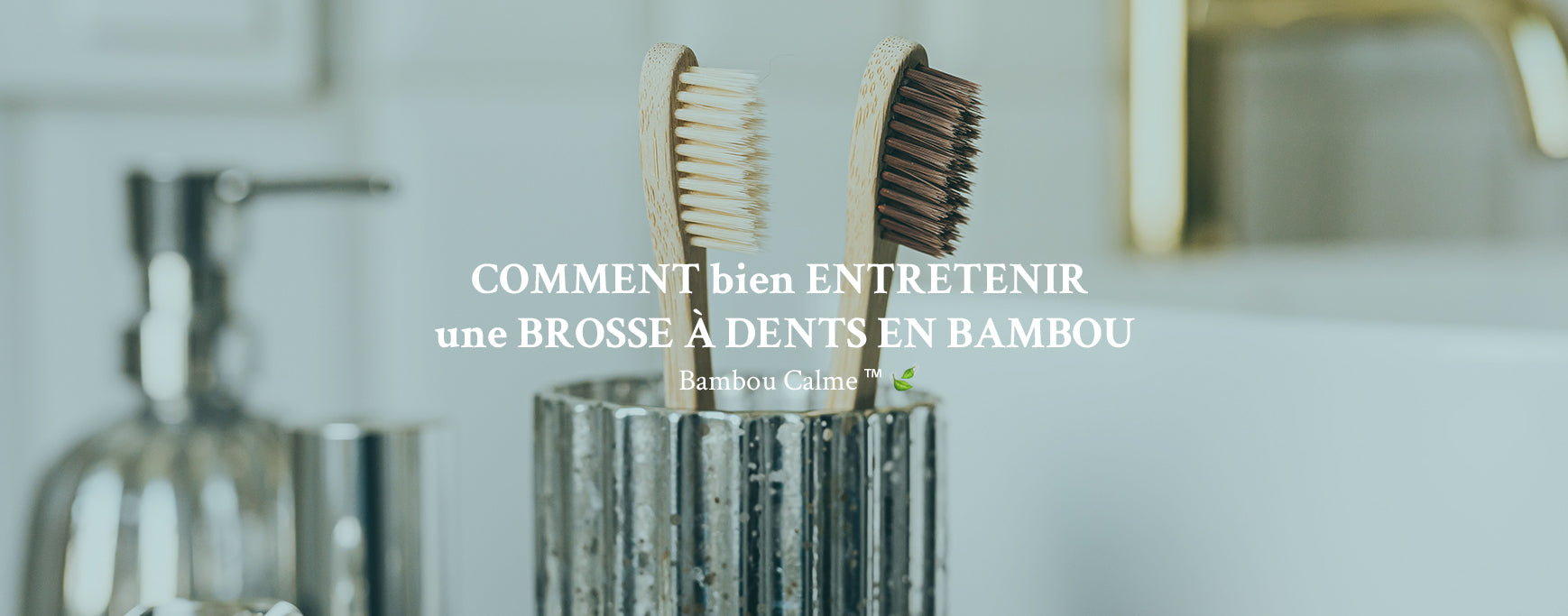 COMMENT bien ENTRETENIR une BROSSE À DENTS EN BAMBOU