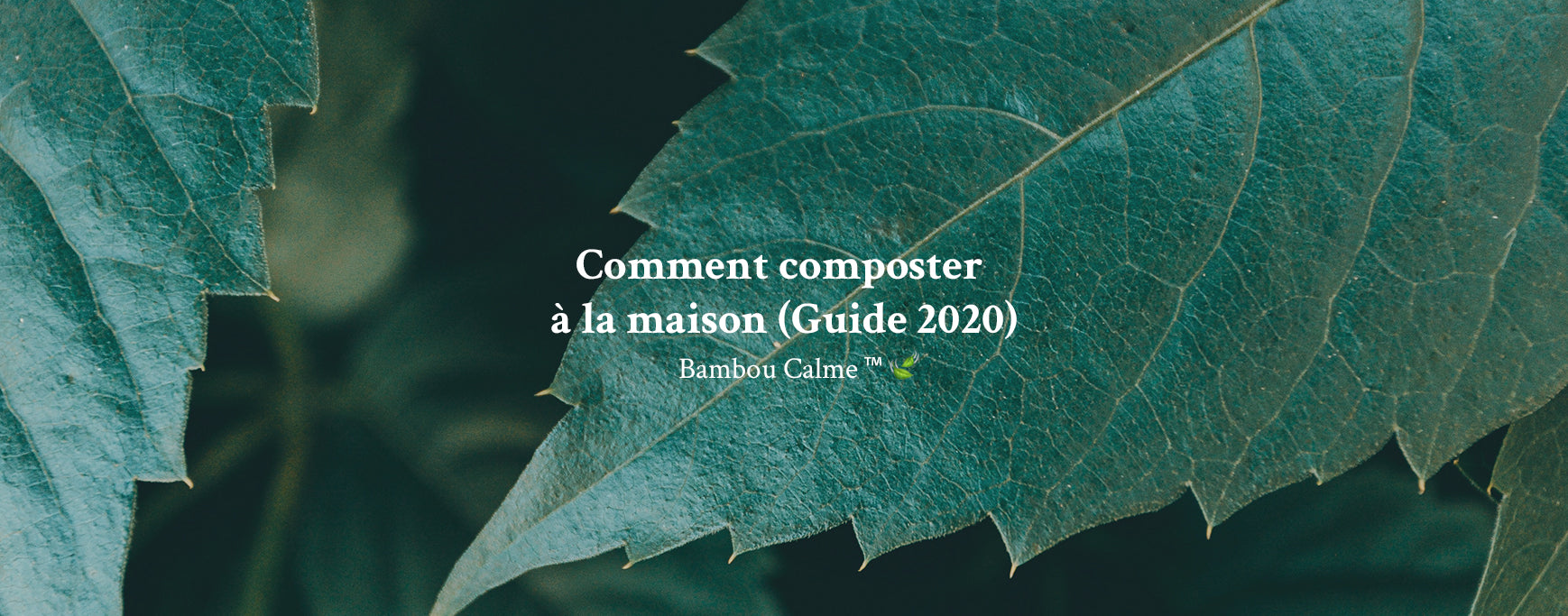 Comment composter à la maison (Guide 2020)