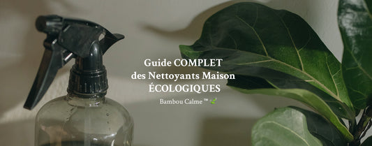 Guide COMPLET des Nettoyants Maison ÉCOLOGIQUES