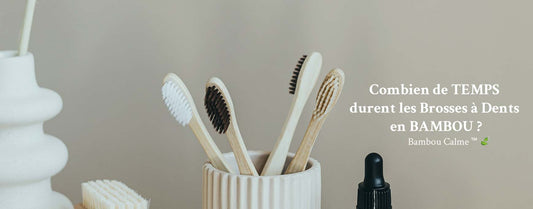 Combien de temps durent les brosses à dents en bambou ?