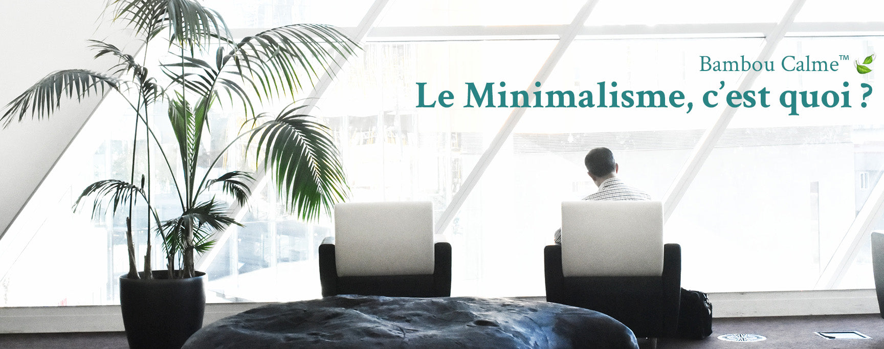 Le Minimalisme, c’est QUOI ?