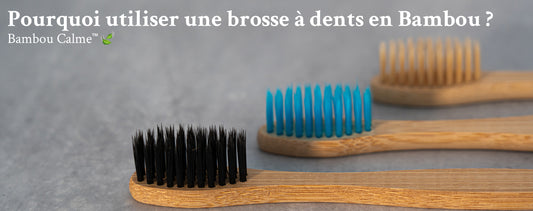 Pourquoi utiliser une brosse à dents en Bambou 
