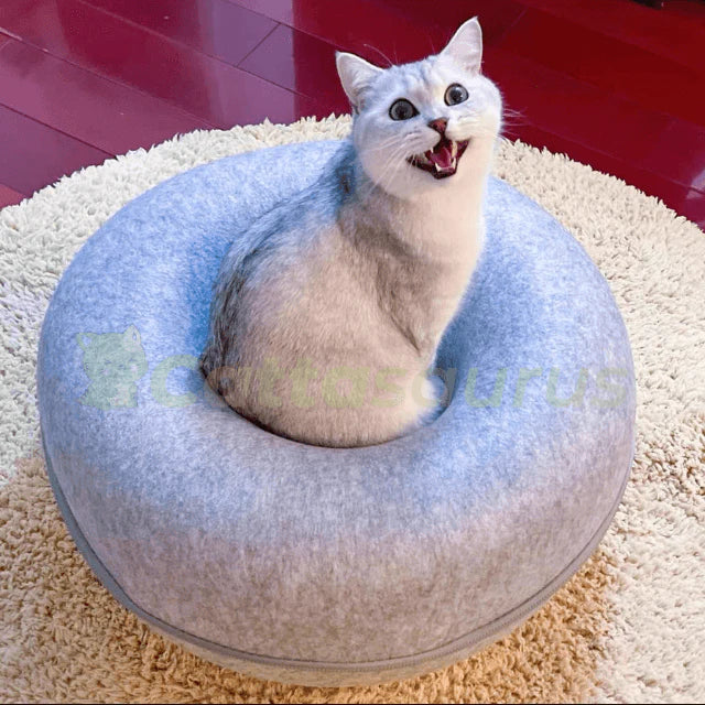 Grotte à chat Cachou