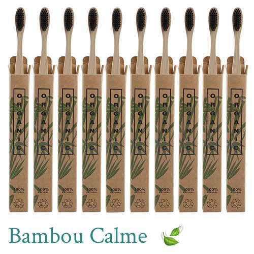 Lot de 10 Brosses à dents Bambou | Bambou Calme™ 🍃