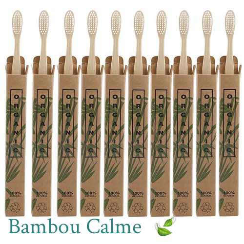 Lot de 10 Brosses à dents Bambou | Bambou Calme™ 🍃