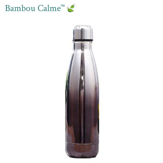 Gourde Inox Métal Astrophyllite Gradient | Bambou Calme