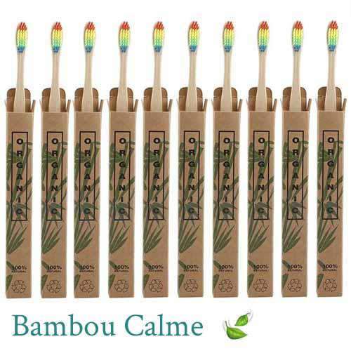 Lot de 10 Brosses à dents Bambou | Bambou Calme™ 🍃