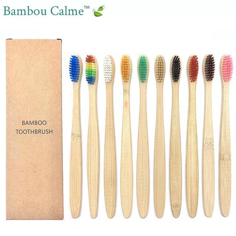 Brosses à Dents Bambou Multicolores | Bambou Calme