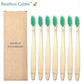 Brosses à Dents Bambou Vertes | Bambou Calme