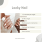 Kit Polygel Bambou Calme