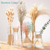 Vase MiniCount en Verre | Bambou Calme