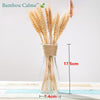 Vase MiniCount en Verre | Bambou Calme