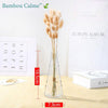 Vase MiniCount en Verre | Bambou Calme