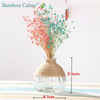 Vase MiniCount en Verre | Bambou Calme