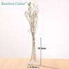 Vase MiniCount en Verre | Bambou Calme