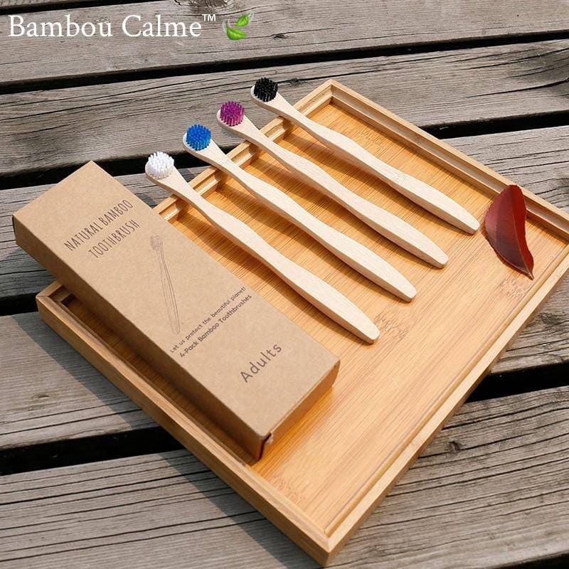 Brosses à Dents Bambou Rondes Multicolores | Bambou Calme