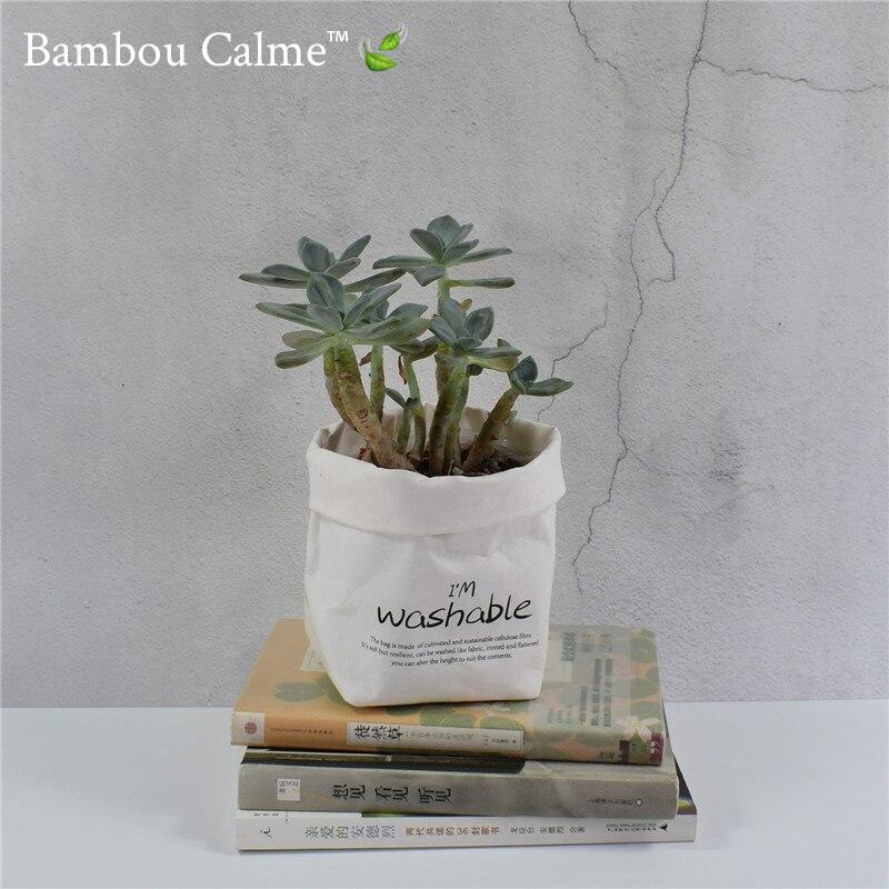 Pot de fleurs réutilisable en kraft | Bambou Calme