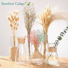 Vase MiniCount en Verre | Bambou Calme